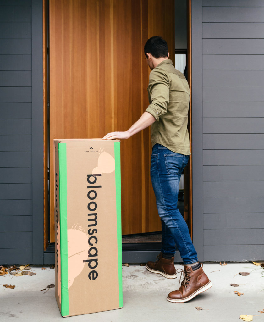 Best Plants for Apartments, Bloomscape