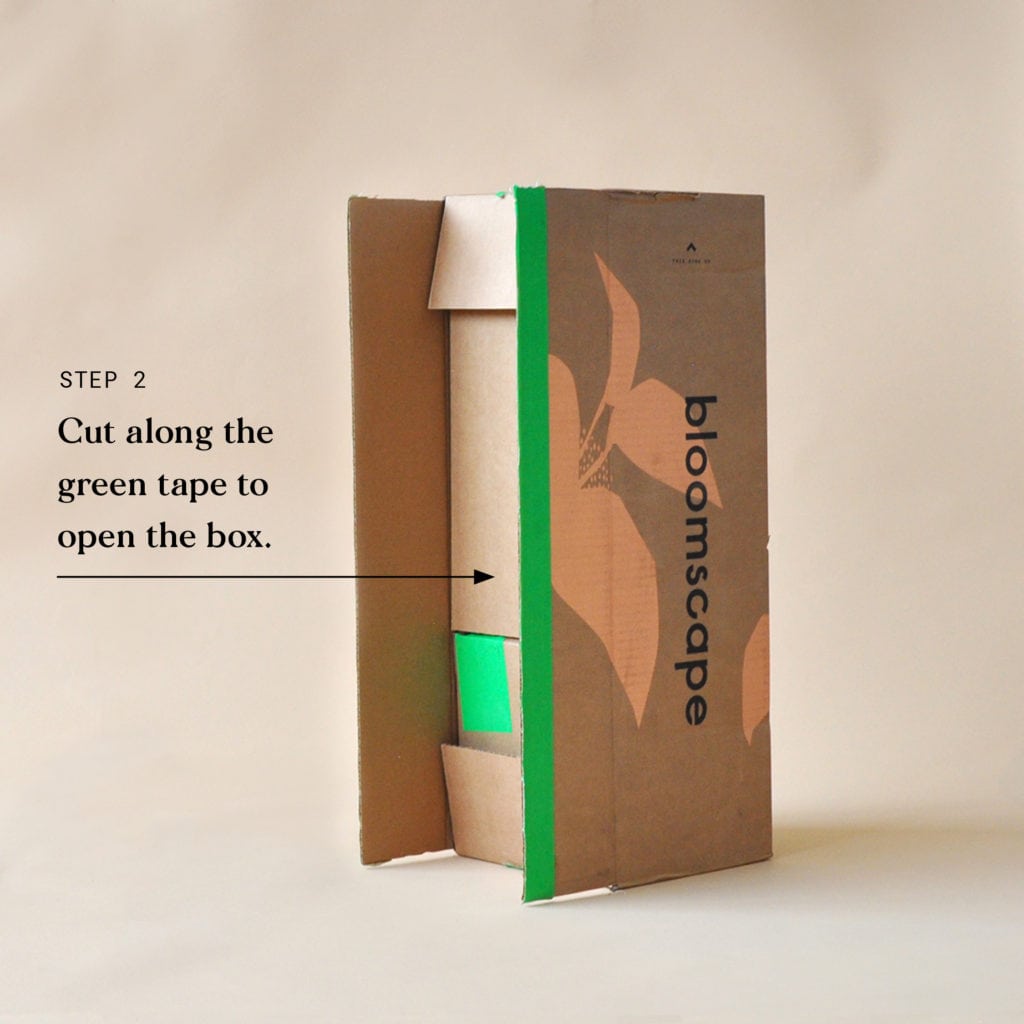 Indoor Plant Delivery Bloomscape Step 2