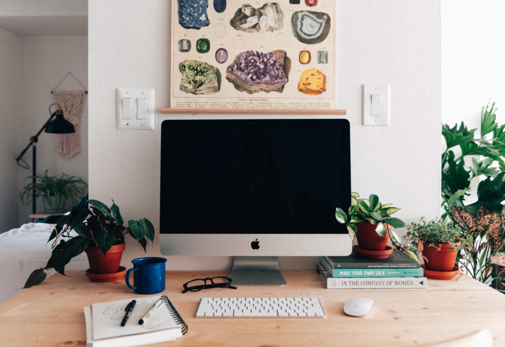 How Office Plants Help Lower Stress and Boost Focus | Bloomscape