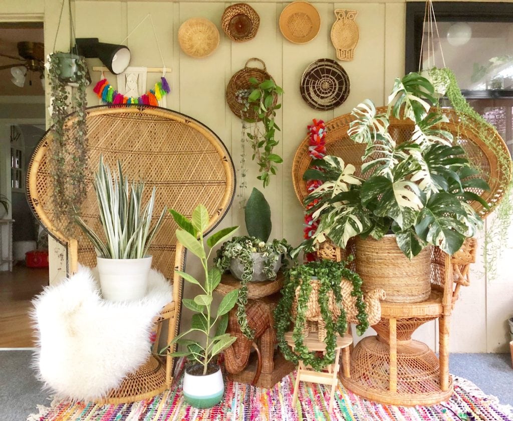 Plant Life Series: A Modern Bohemian Plant Paradise in Chicago
