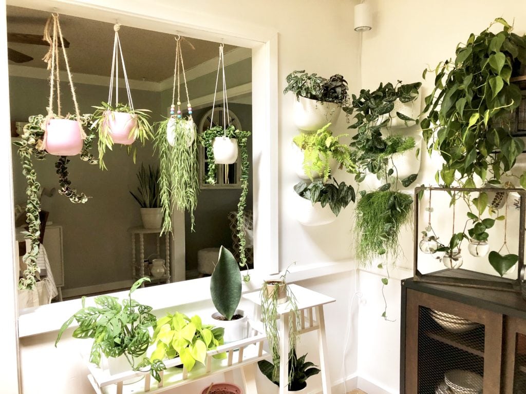 Plant Life Series: A Modern Bohemian Plant Paradise in Chicago
