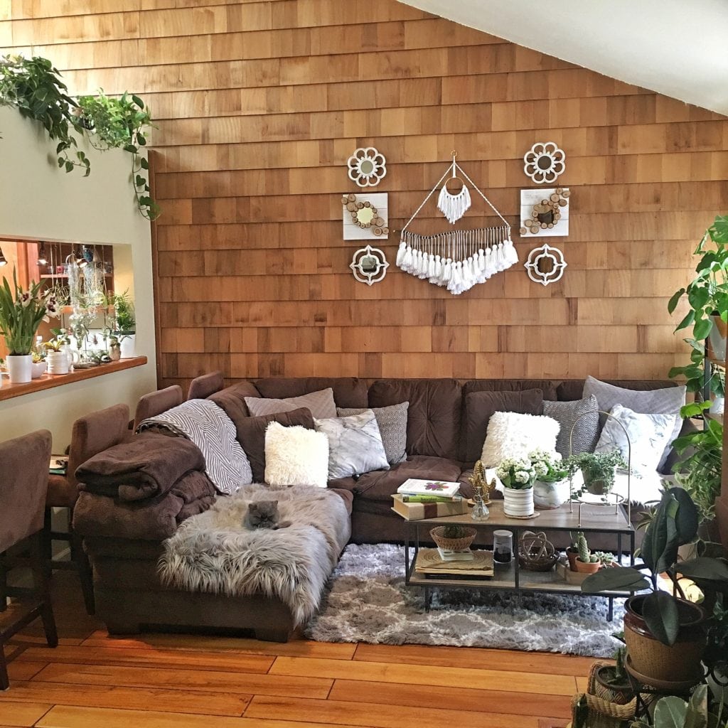 Plant-filled, Cat-Friendly Home