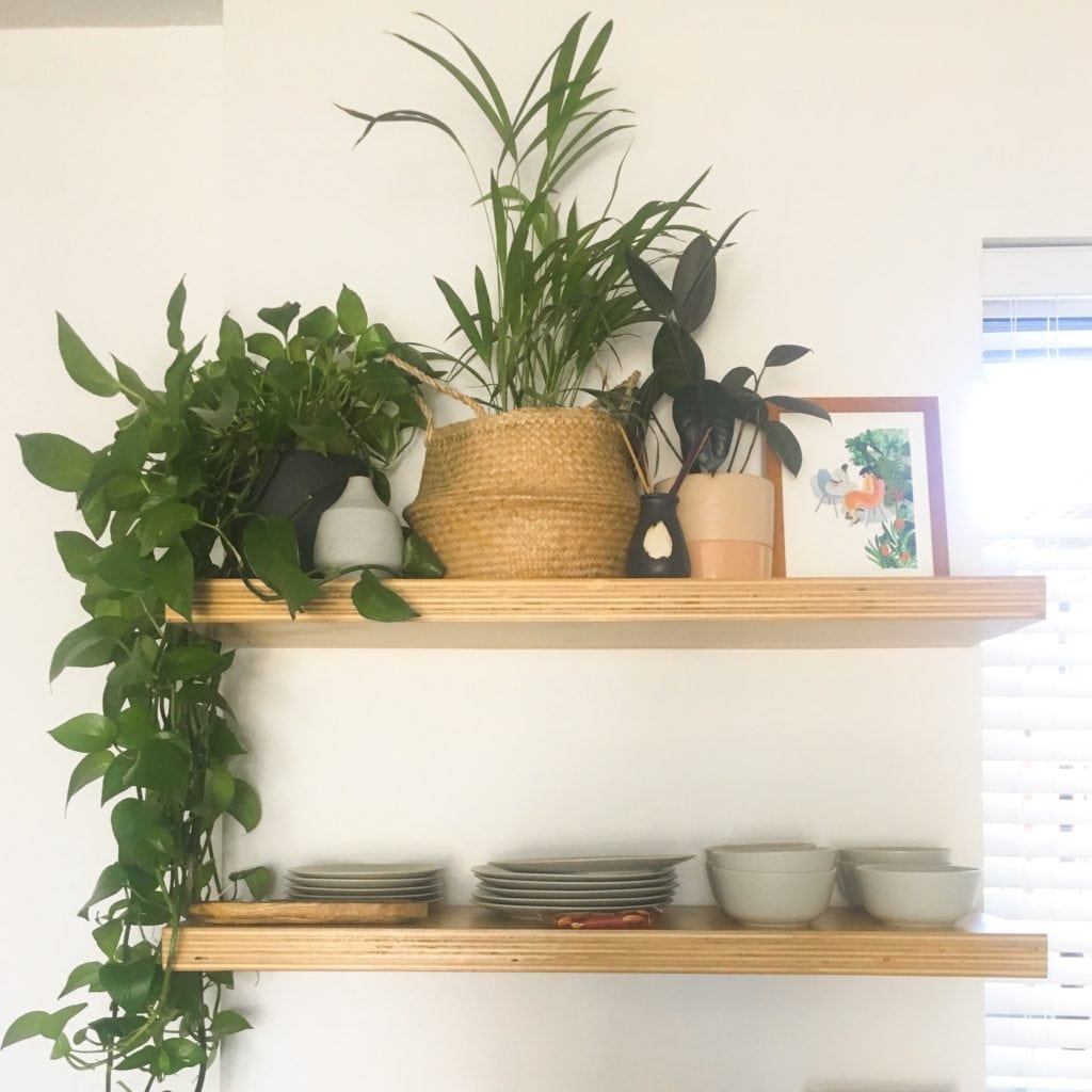 Plant Life Series: An Artist’s Minimal Bohemian Apartment in Los Angeles