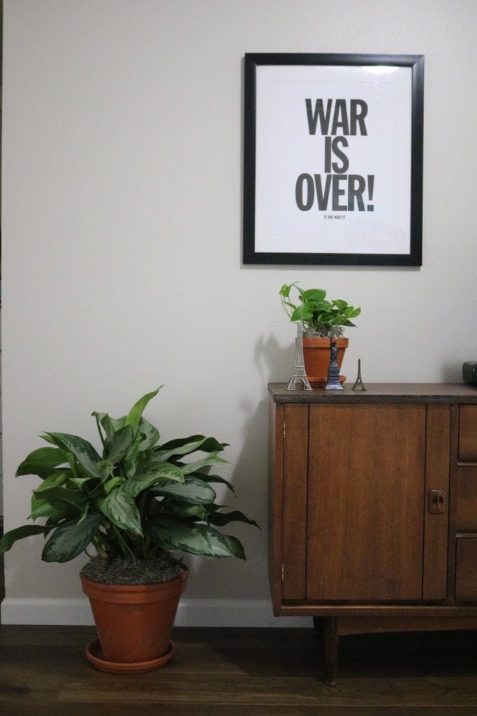 Plant Life Series: A Scandinavian Inspired, Mid-Century Modern Apartment in Portland