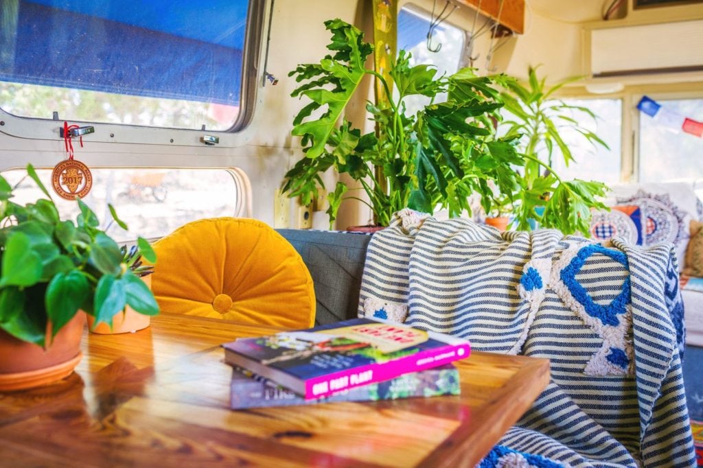 Plant Life Series: A Colorful Southwestern Maximalist Home