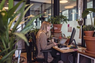 Best Plants for Office Desk
