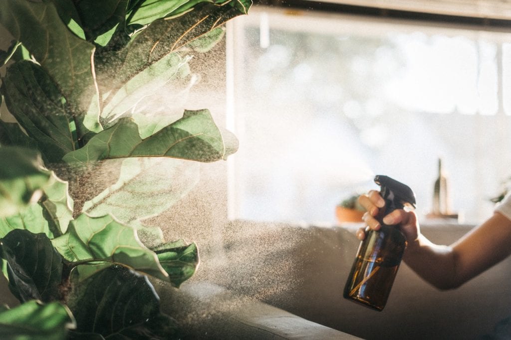 Increase humidity for plants