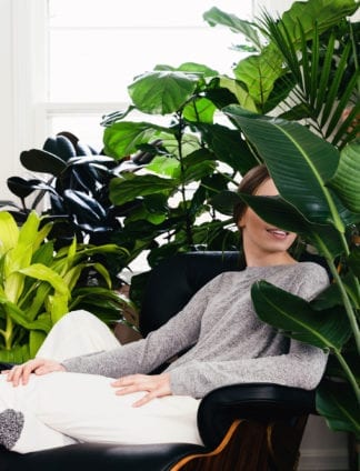 Health Benefits of Indoor Plants