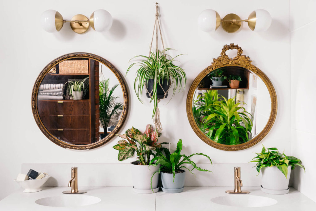 Best Plants for the Bathroom: Bloomscape Your Space
