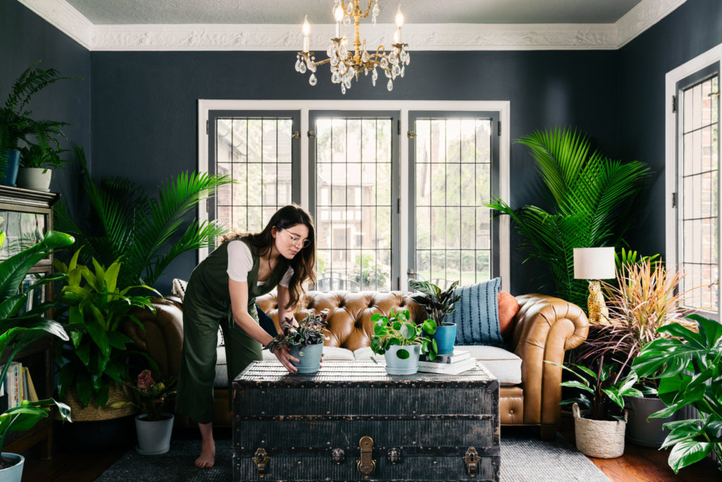 Bloomscape | Why More Plants are Better than One