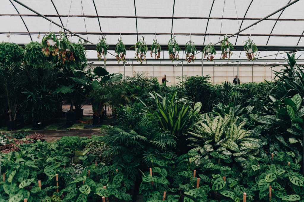Bloomscape Dinner in the Tropics