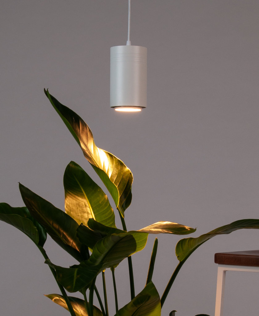 Bloomscape Indoor Grow Light