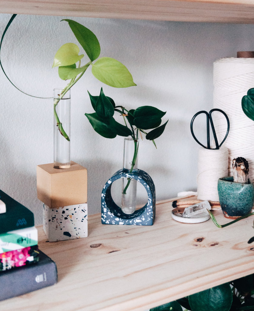 Bloomscape Arch Propagation Kit