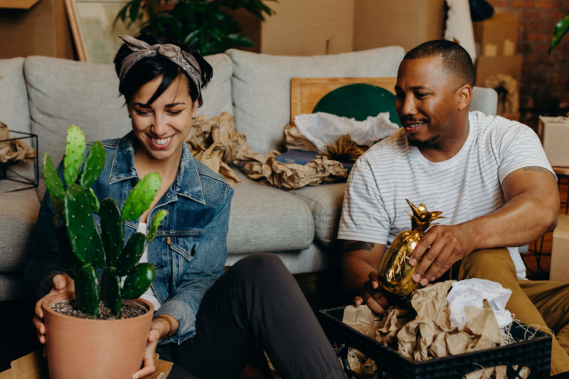 Decorate Your New Place With Our Favorite No-Fuss Plants