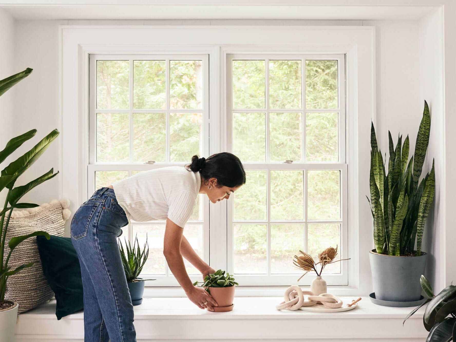 Woman placing a plant on a windowsill