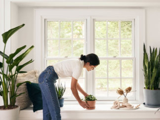 Woman placing a plant on a windowsill