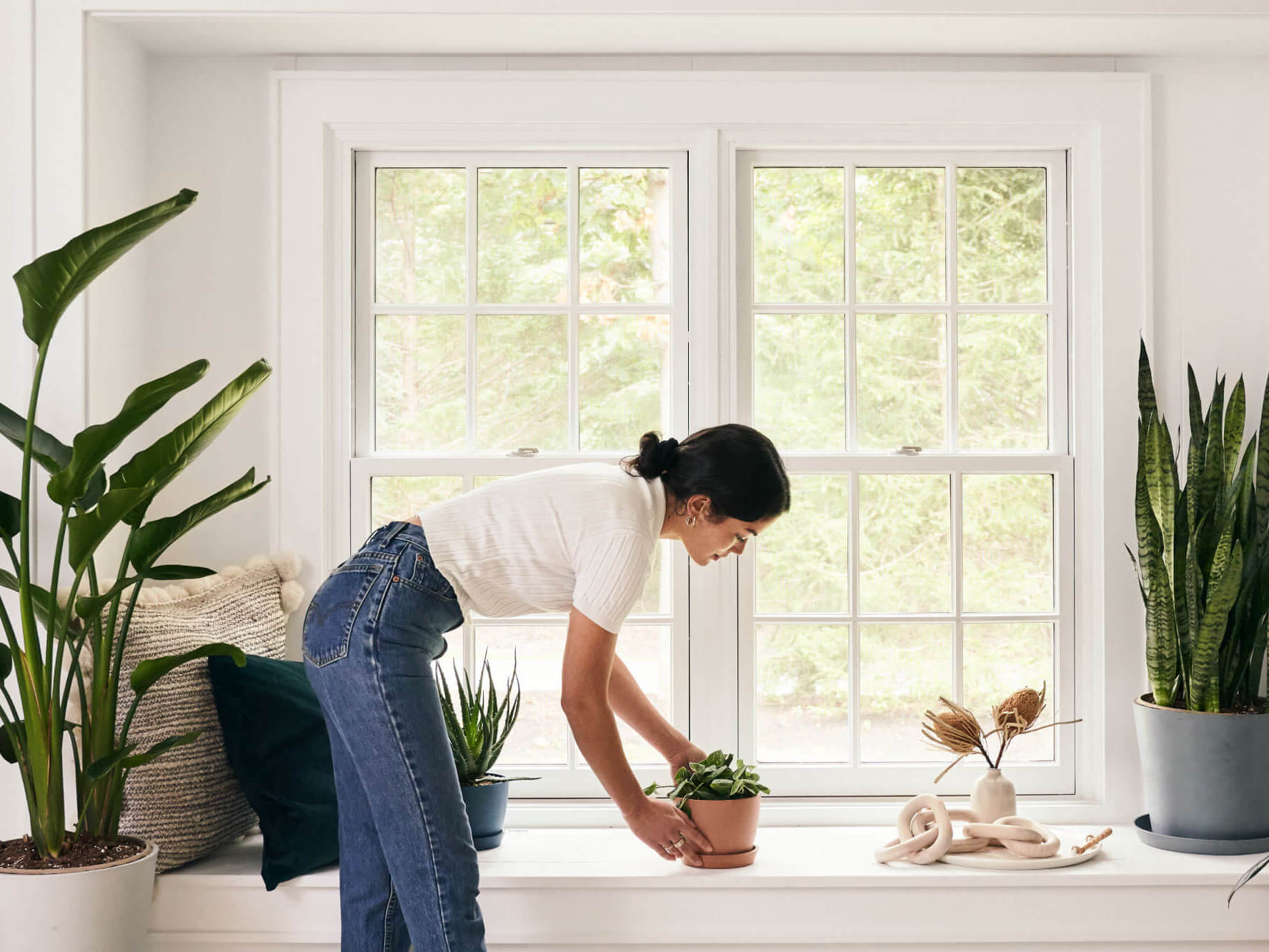 Woman placing a plant on a windowsill