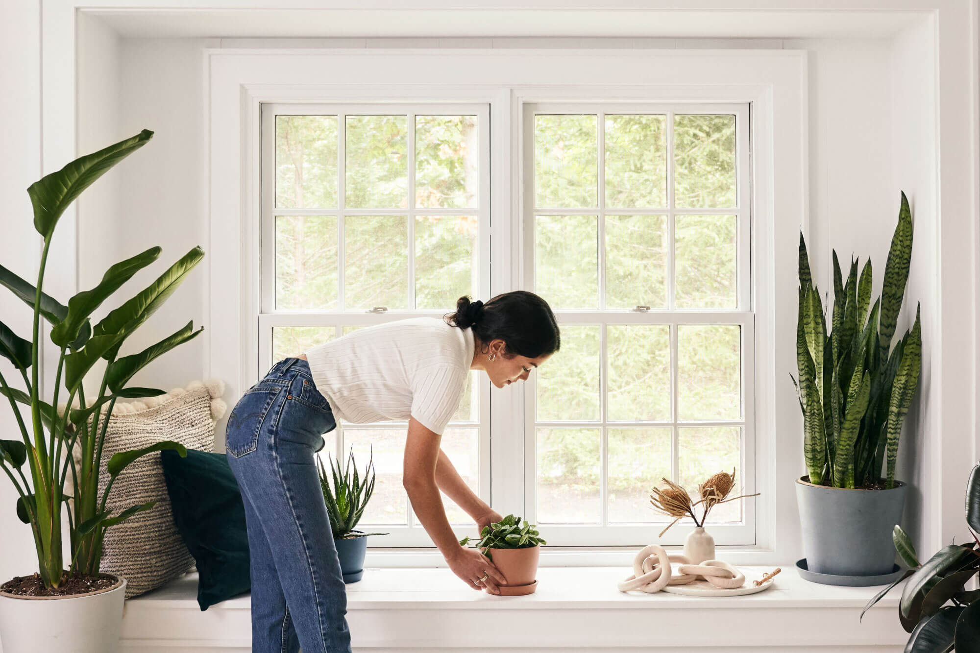 Woman placing a plant on a windowsill