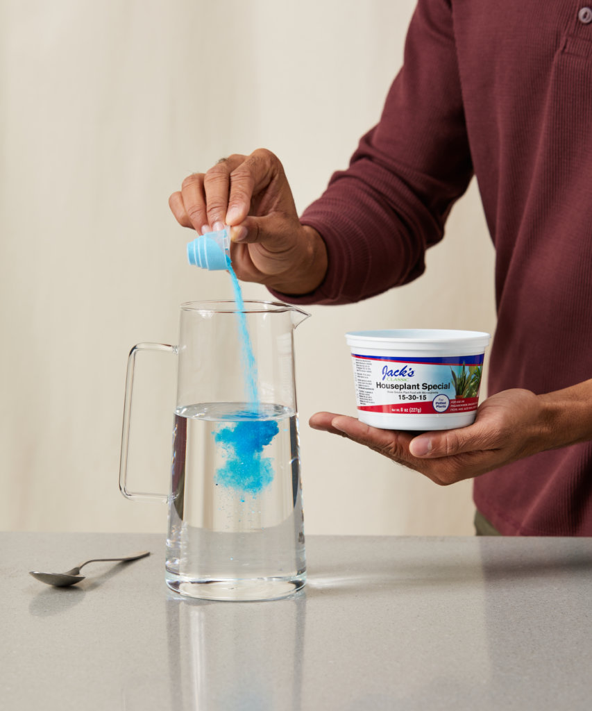 Buy Bloomscape Houseplant Special