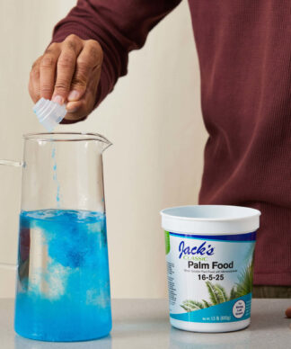 Buy Bloomscape Palm Food