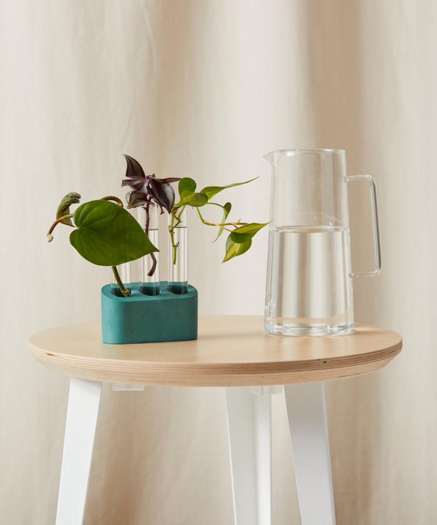 Buy Bloomscape Multi Tube Propagation Kit