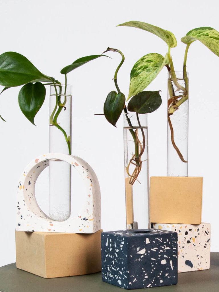 Bloomscape Propagation Shop