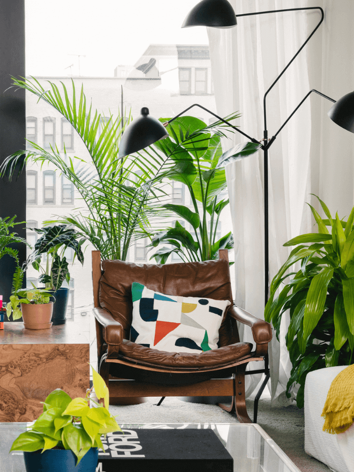 Living room with Bloomscape potted plants, chair, lamp, and window.