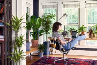 Best Plants for Home Office