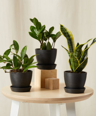 Tough Stuff Collection