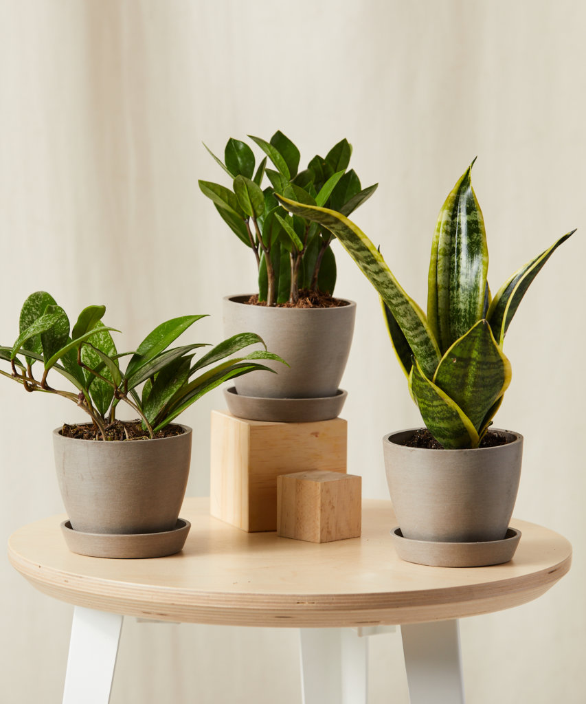 Tough Stuff Collection