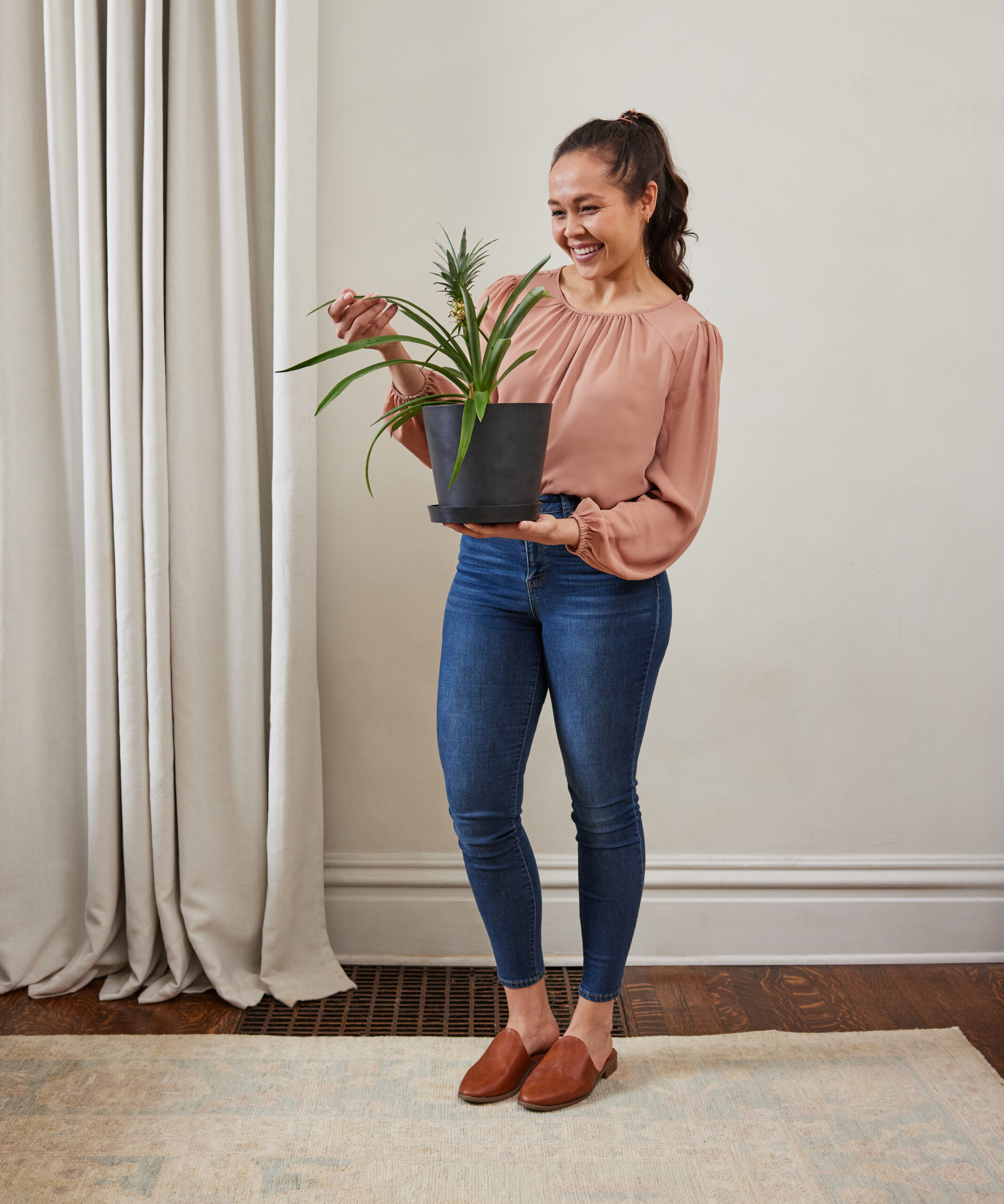 Bromeliad Pineapple: One of the Most Unique Houseplants