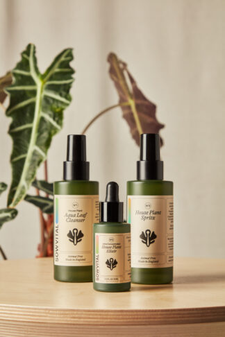 sowvital discovery set bloomscape styled