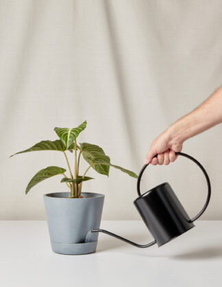 black watering can and self-watering pot